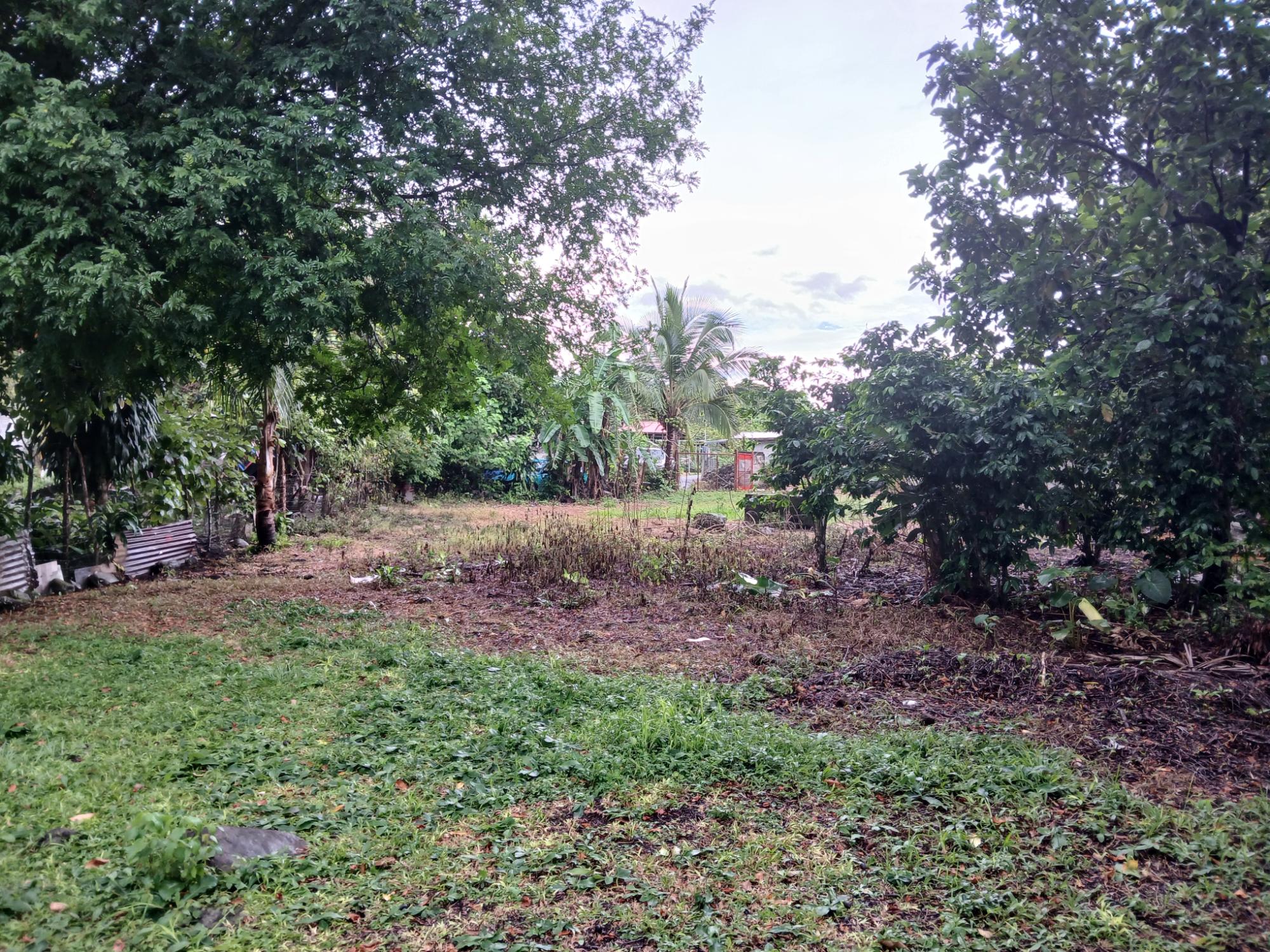 res-0000637d-16.jpg