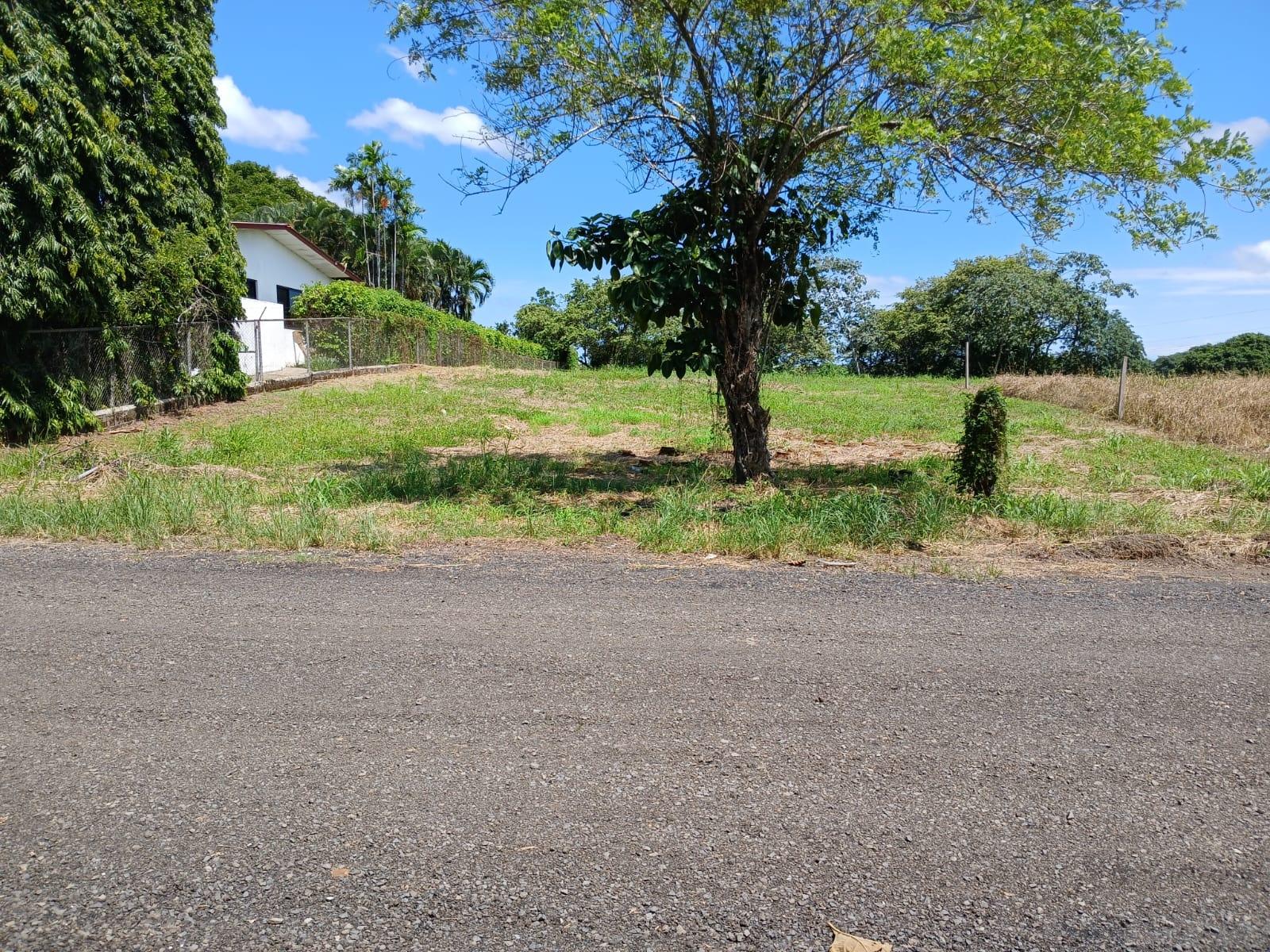 res-00006382-01.jpg