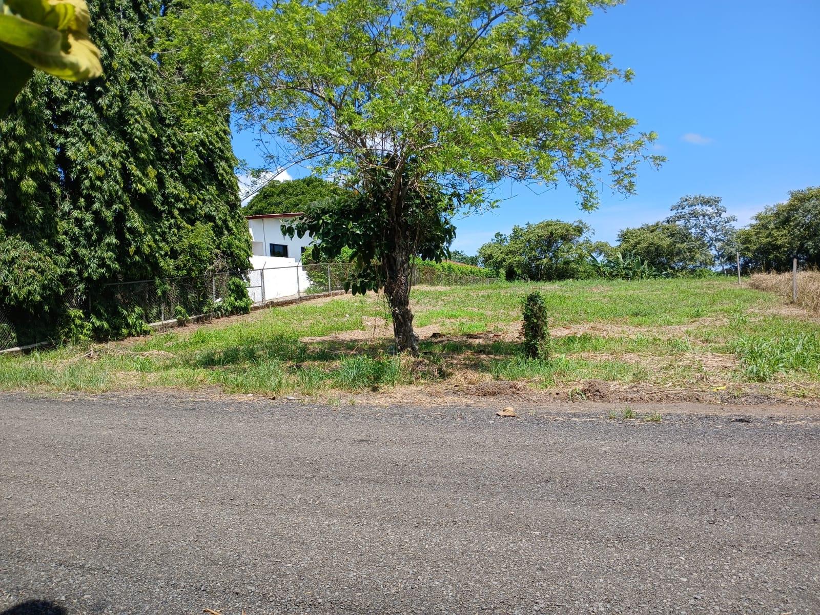 res-00006382-03.jpg