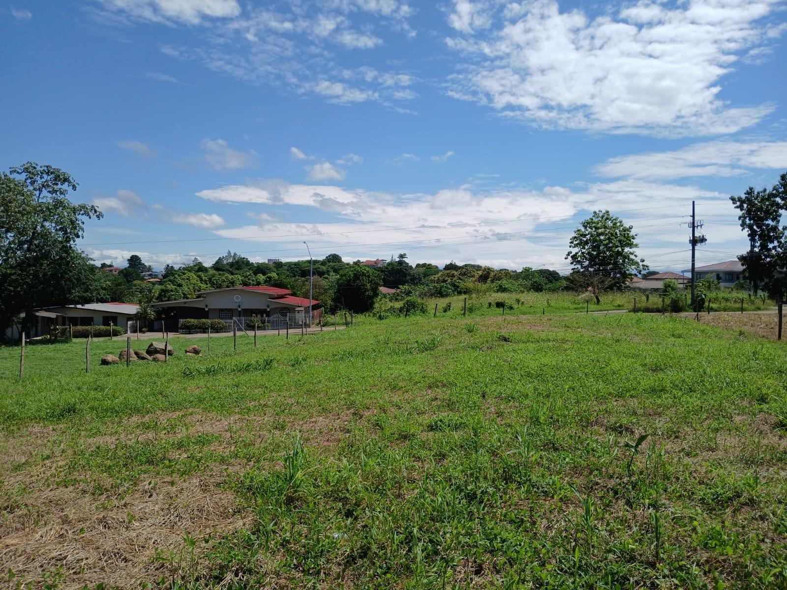 res-00006382-04.jpg