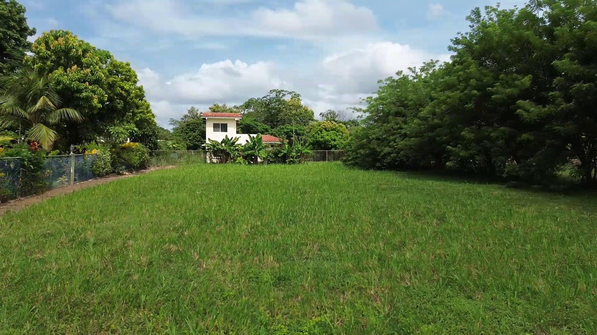 res-00006397-05.jpg