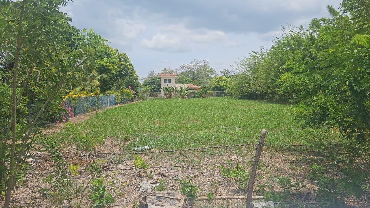 res-00006397-07.jpg