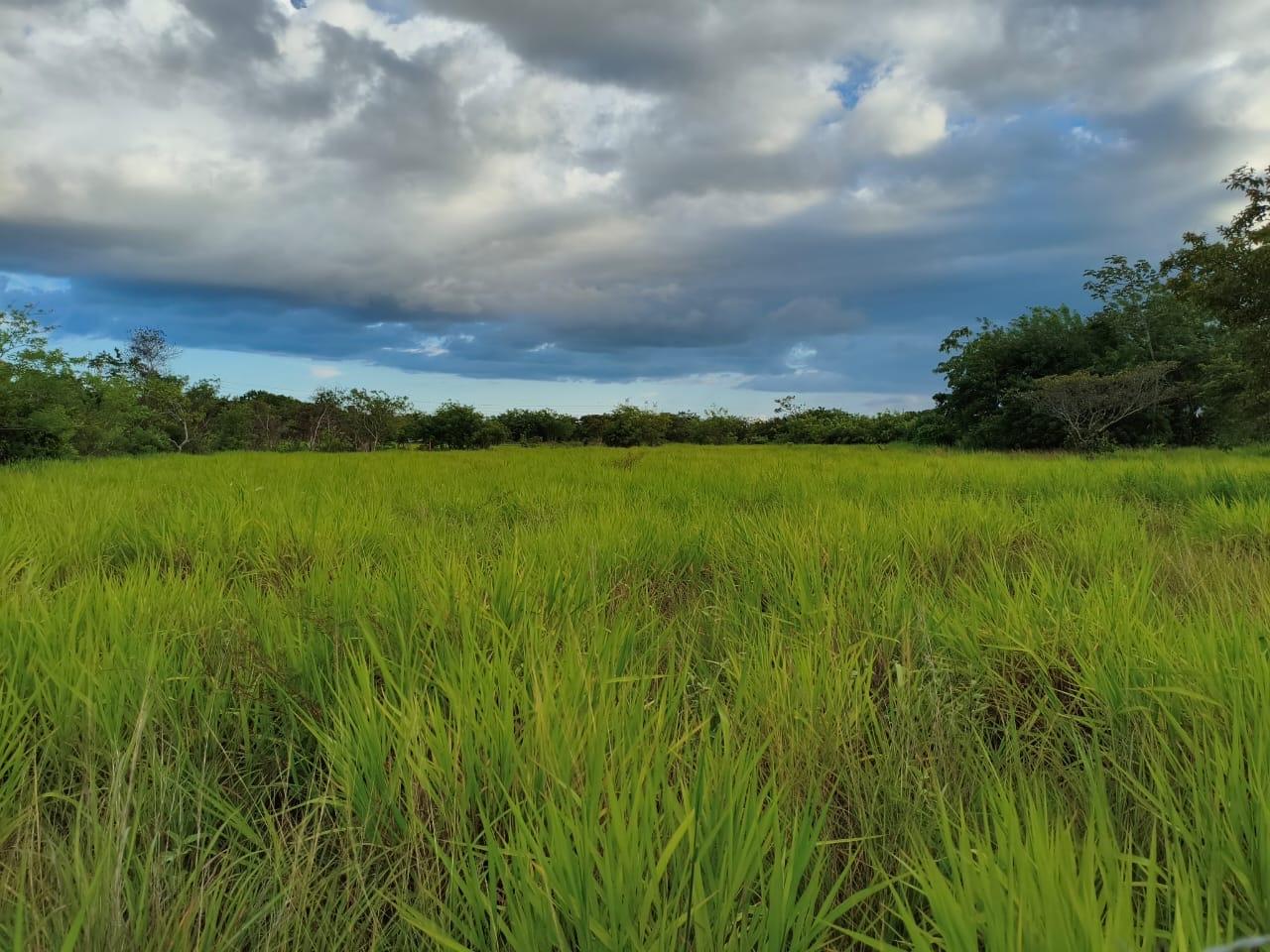 res-00006399-07.jpg