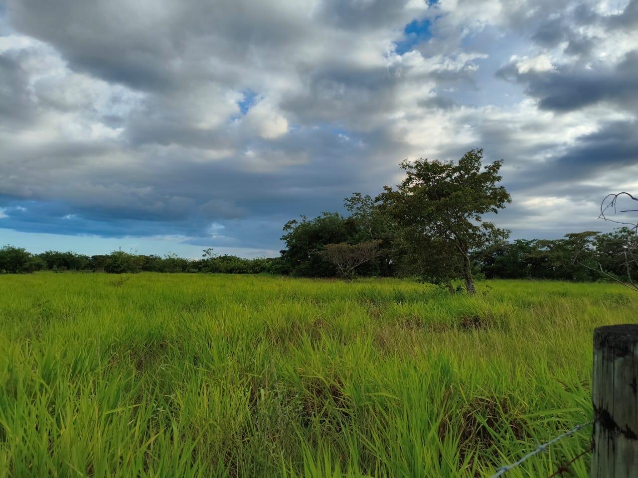 res-00006399-09.jpg