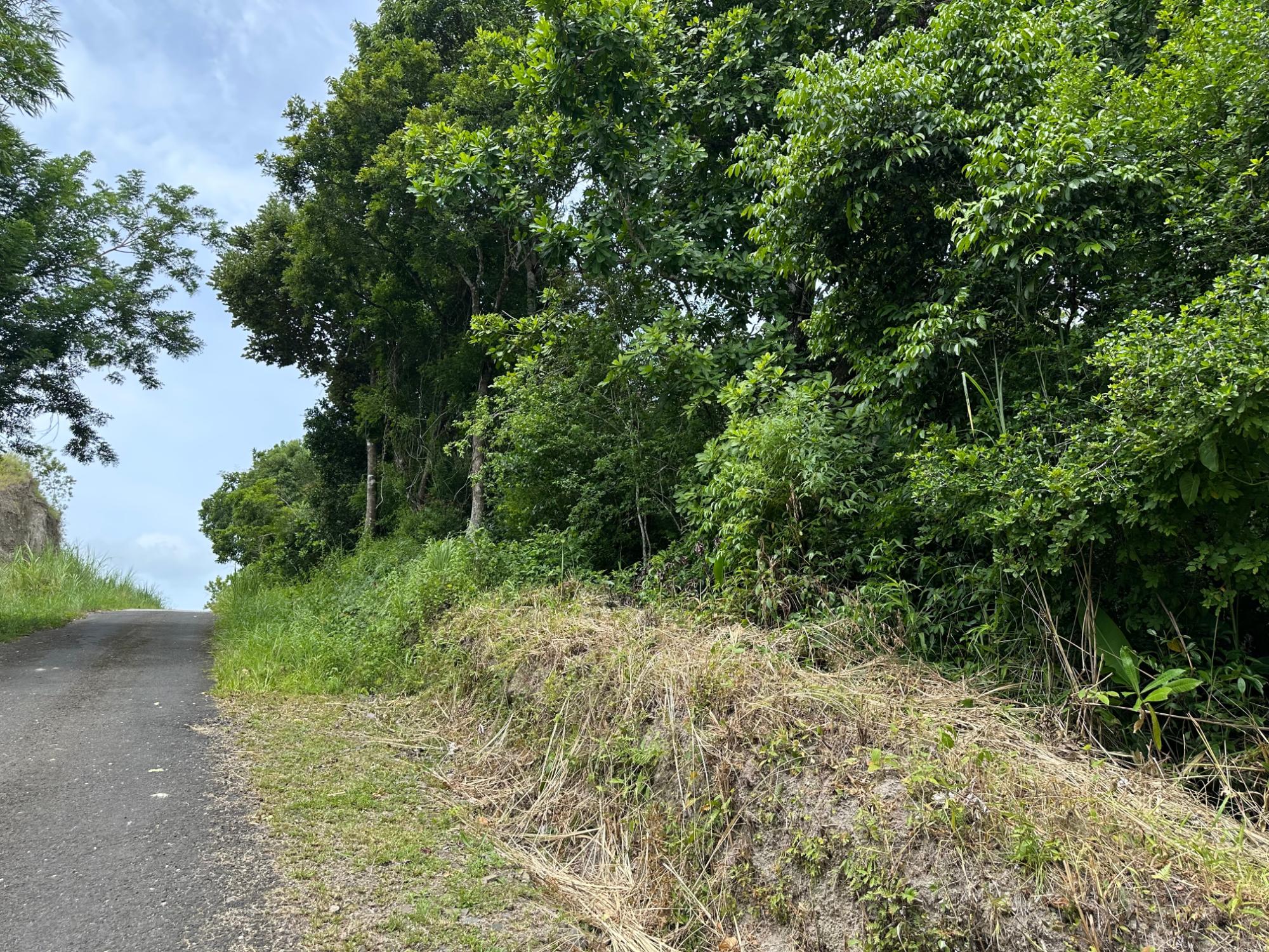 res-000063a7-01.jpg