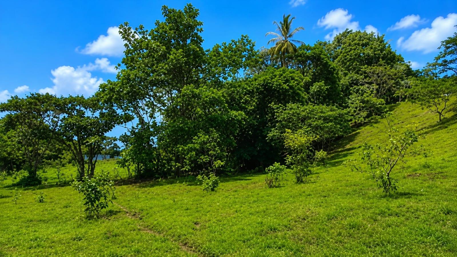 res-000063a9-04.jpg