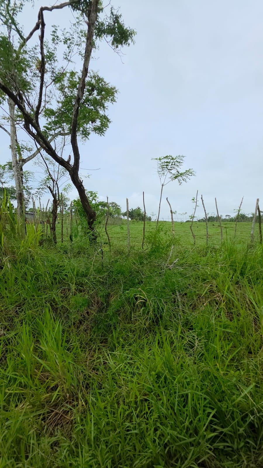 res-000063c1-06.jpg