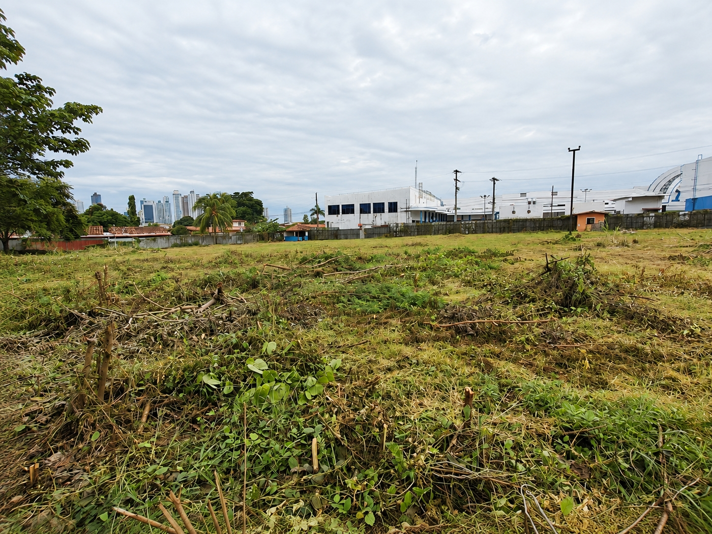 com-00006383-11.jpg