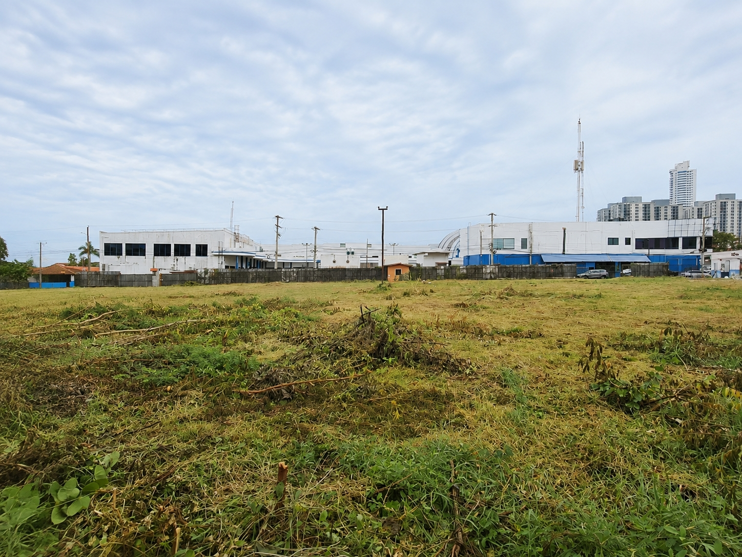 com-00006383-12.jpg