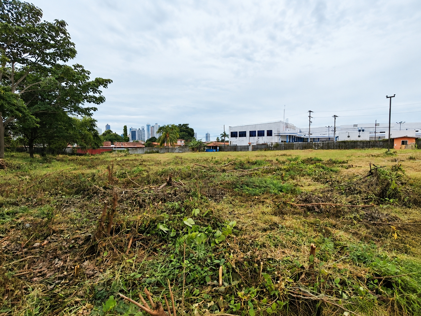 com-00006383-15.jpg