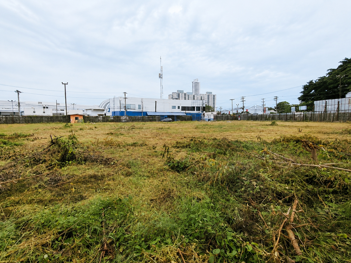 com-00006383-16.jpg