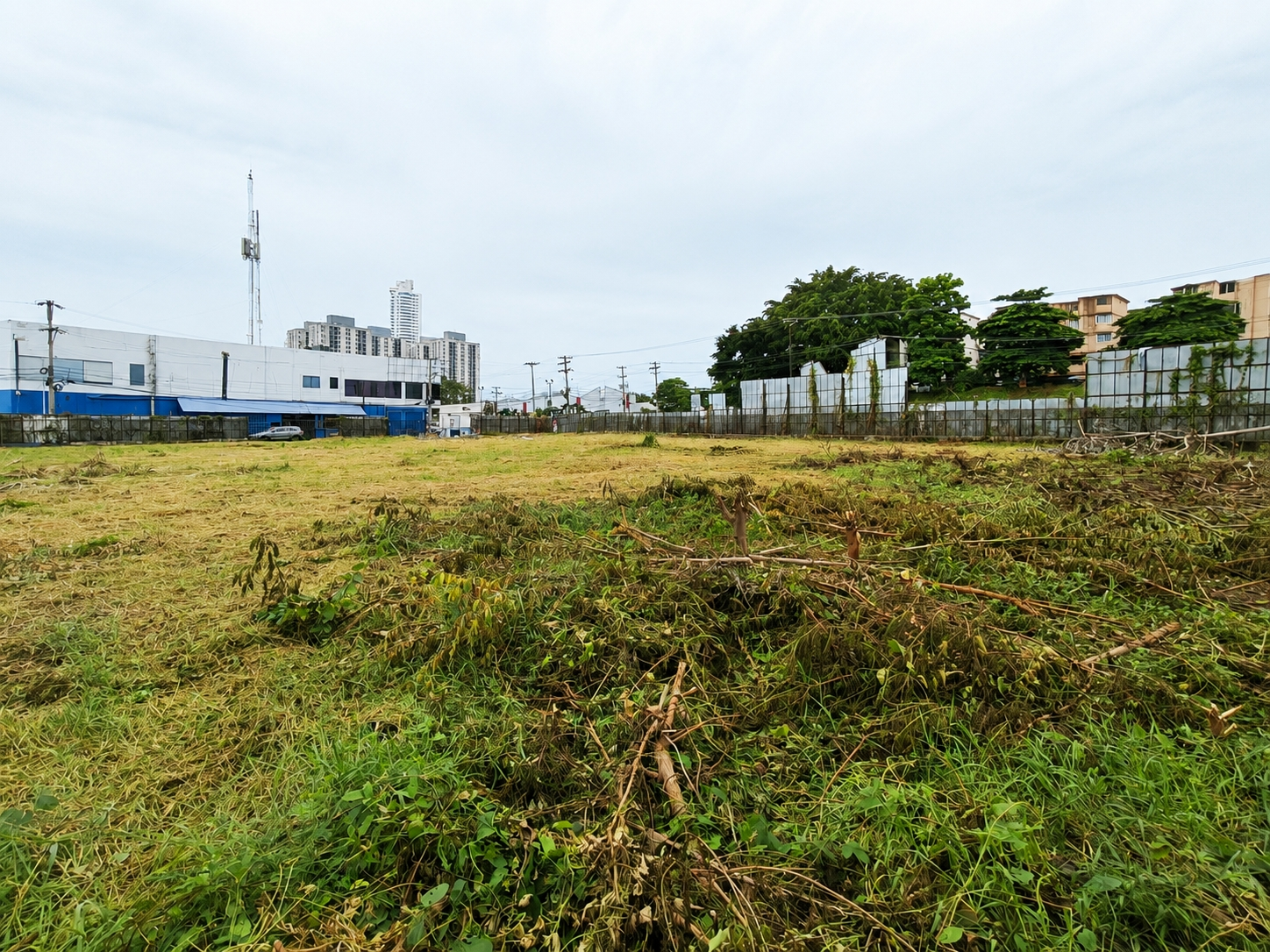 com-00006383-17.jpg