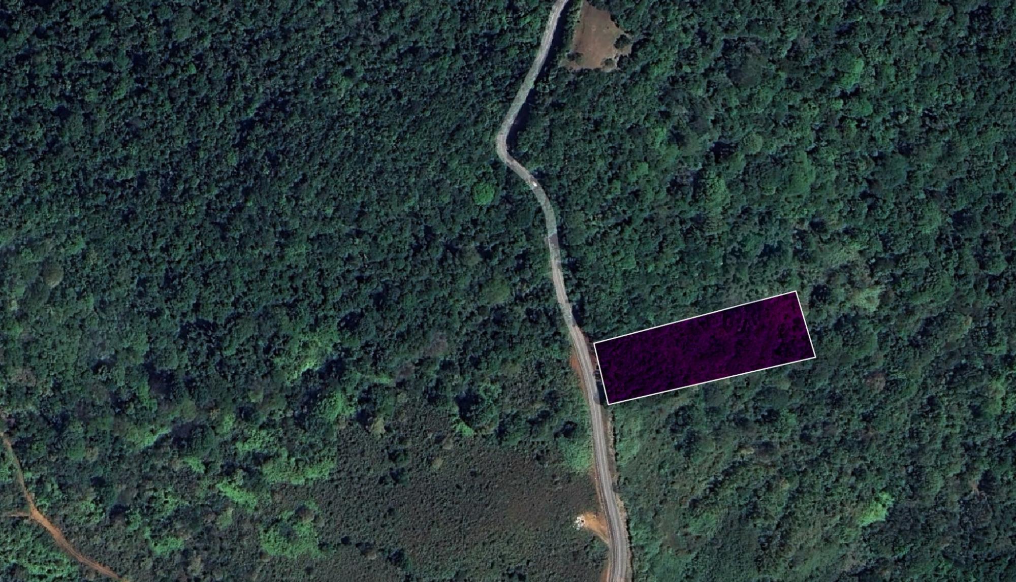 com-00006406-01.jpg