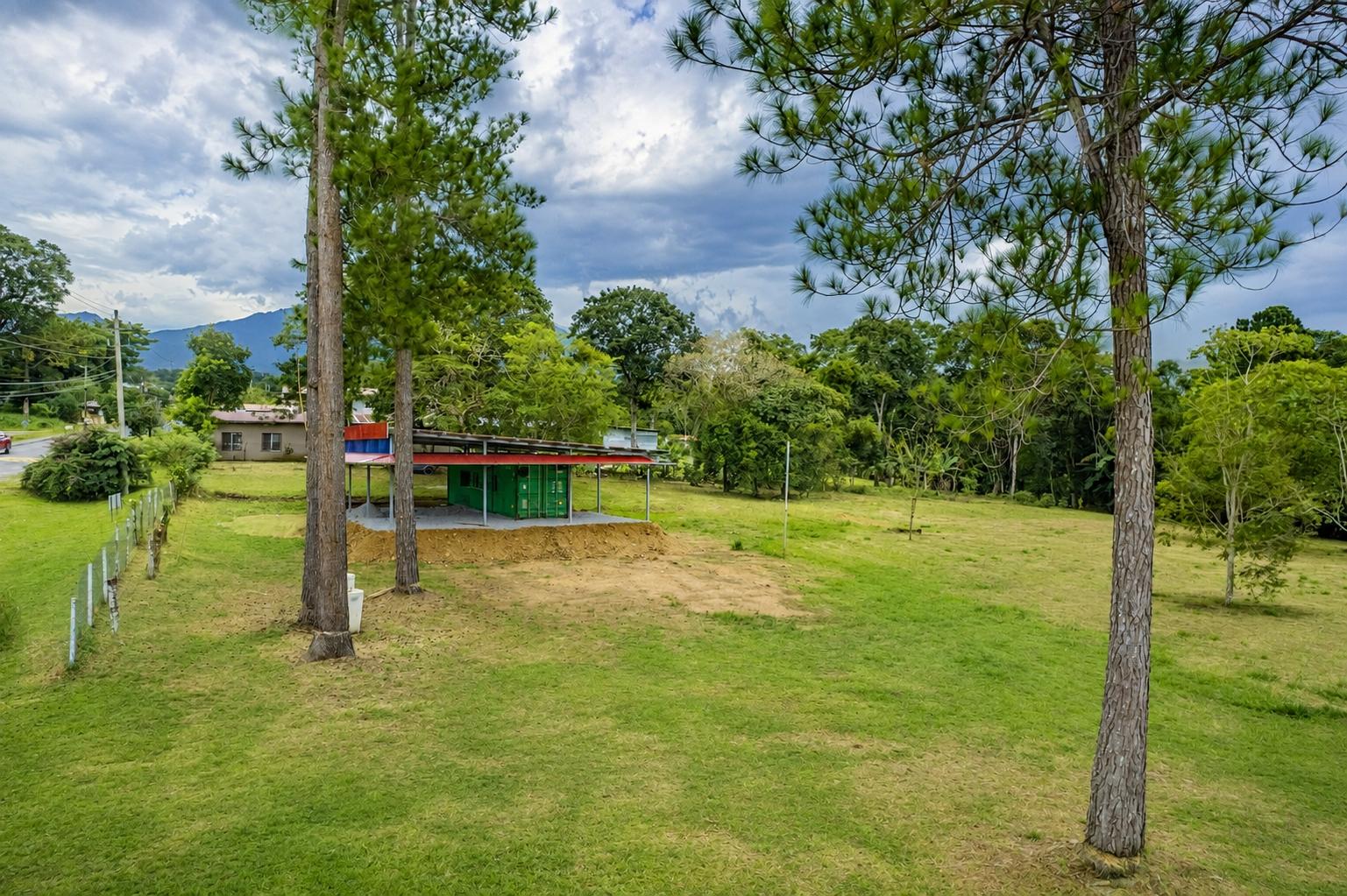 com-00006440-15.jpg