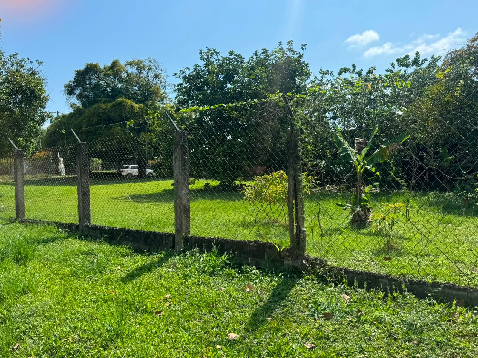 com-0000646d-03.jpg