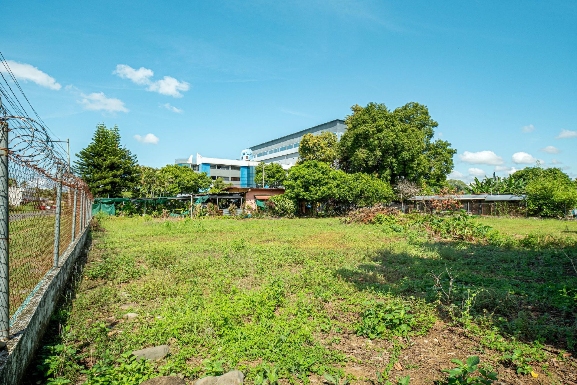 com-00006492-04.jpg