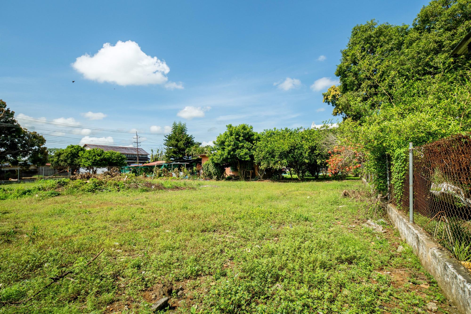 com-00006492-11.jpg