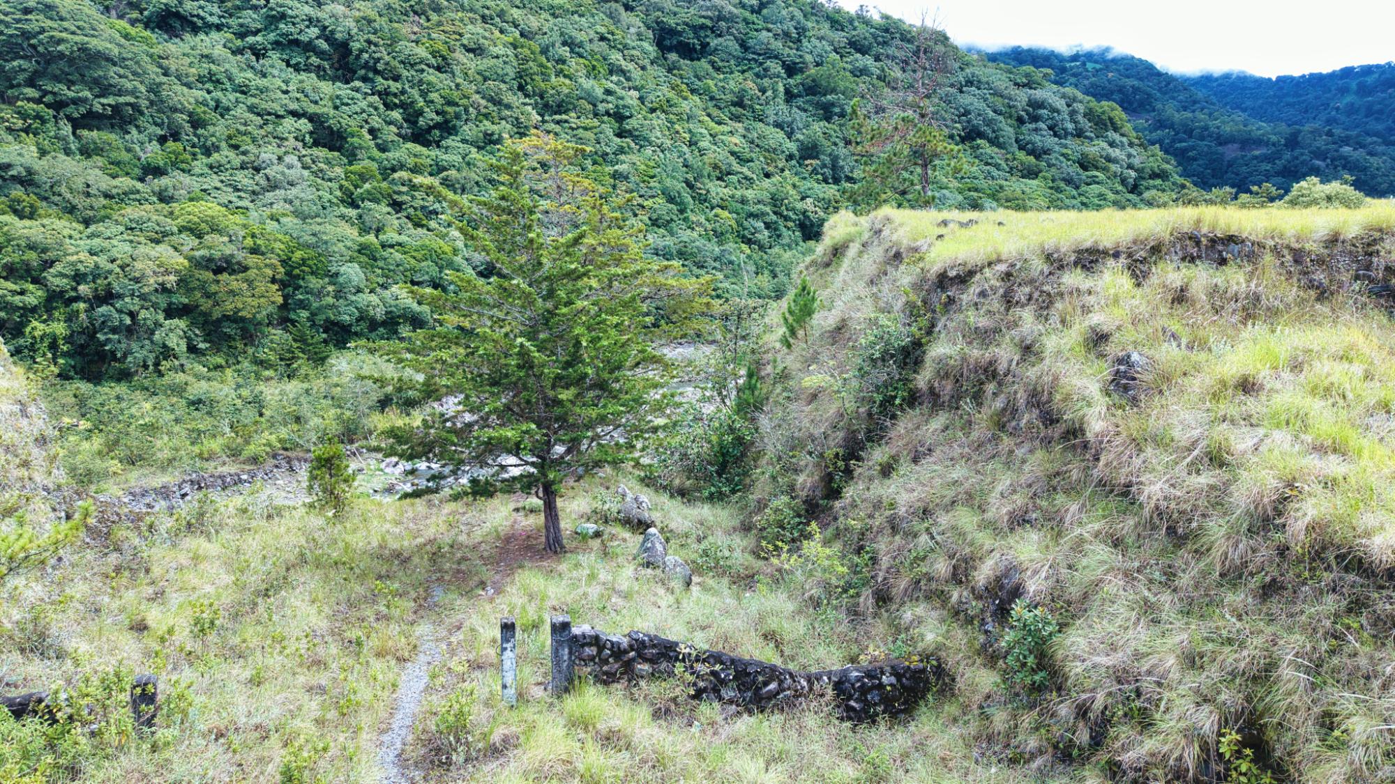 res-000063dd-20.jpg
