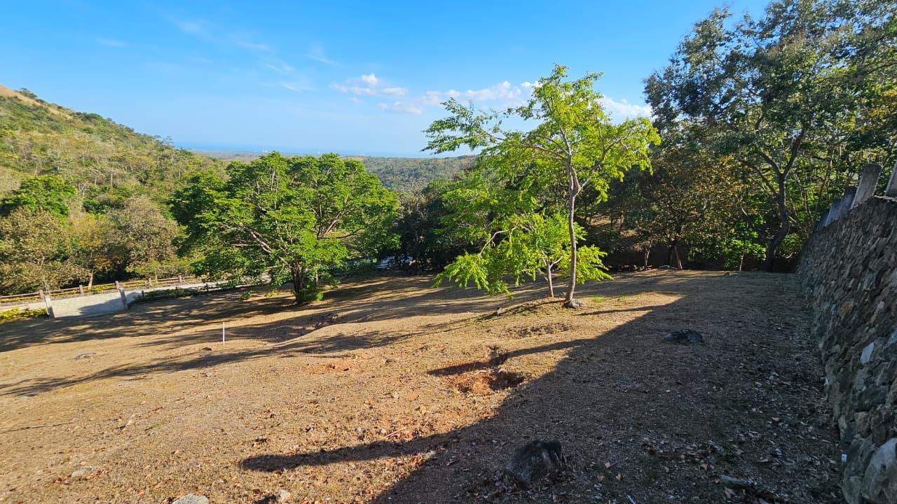 res-000063f0-01.jpg