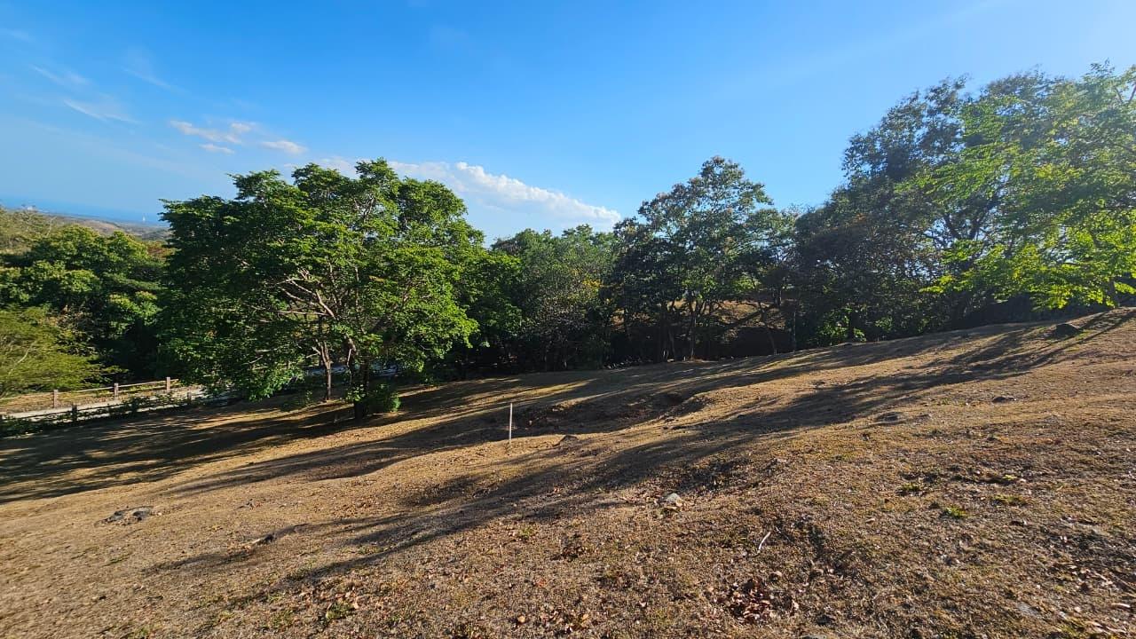 res-000063f0-03.jpg