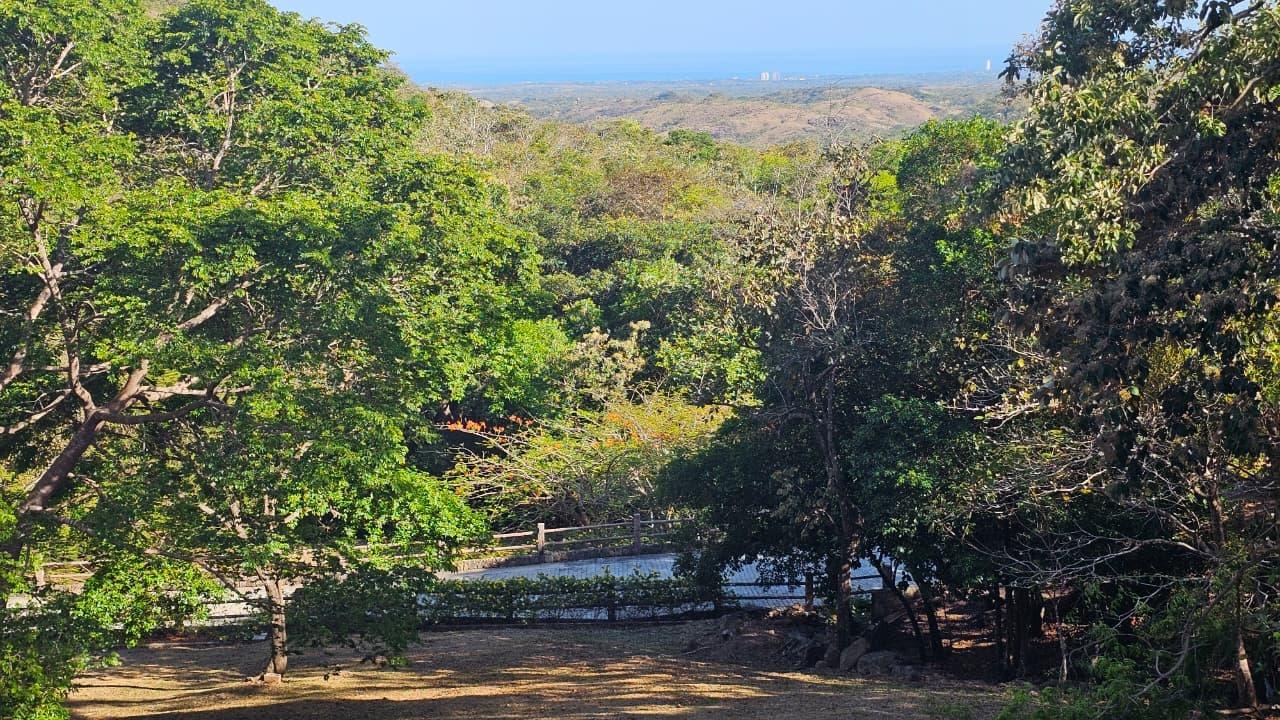 res-000063f0-06.jpg