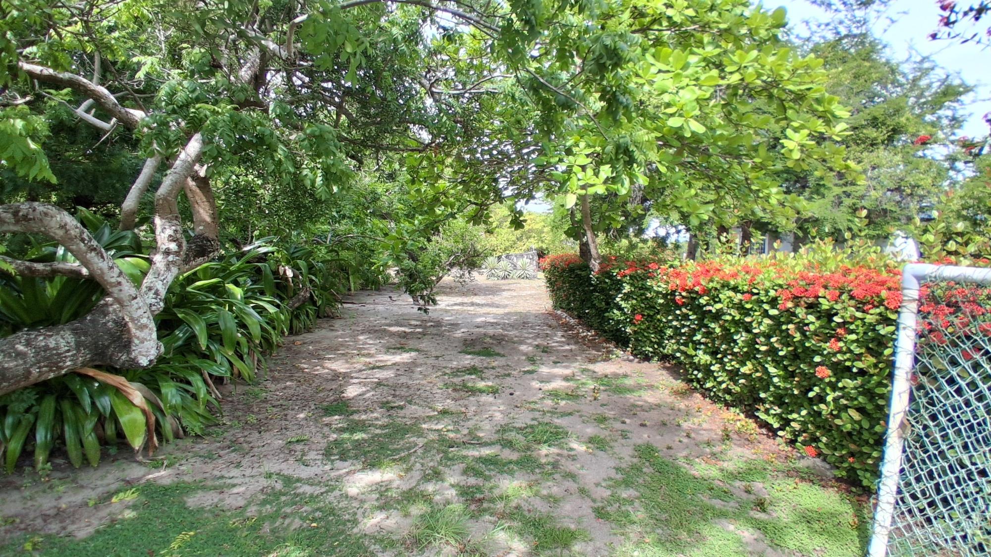 res-000063fd-02.jpg