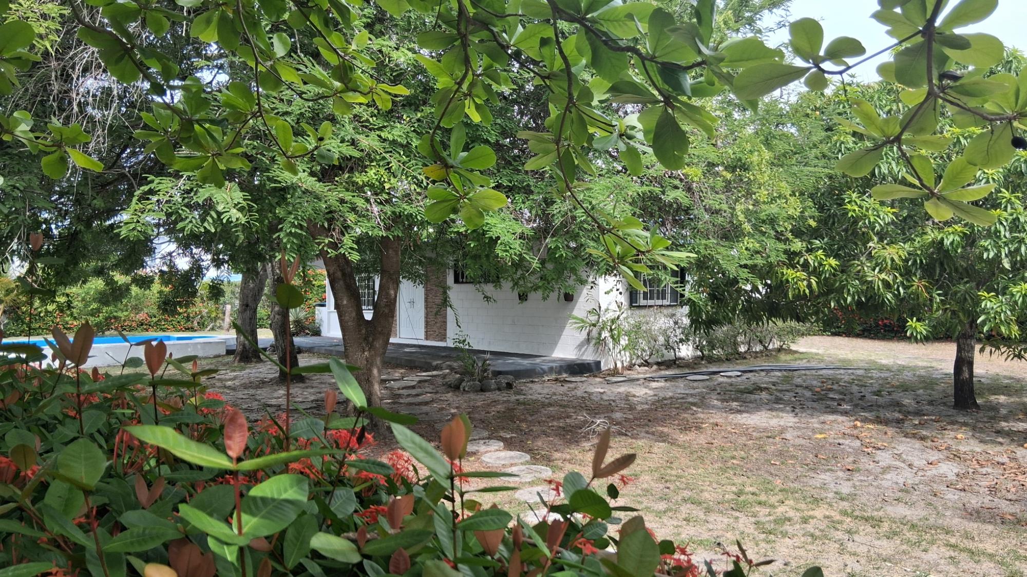 res-000063fd-04.jpg
