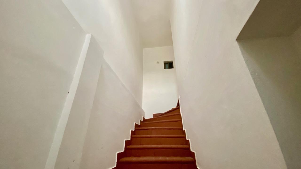res-00006404-11.jpg