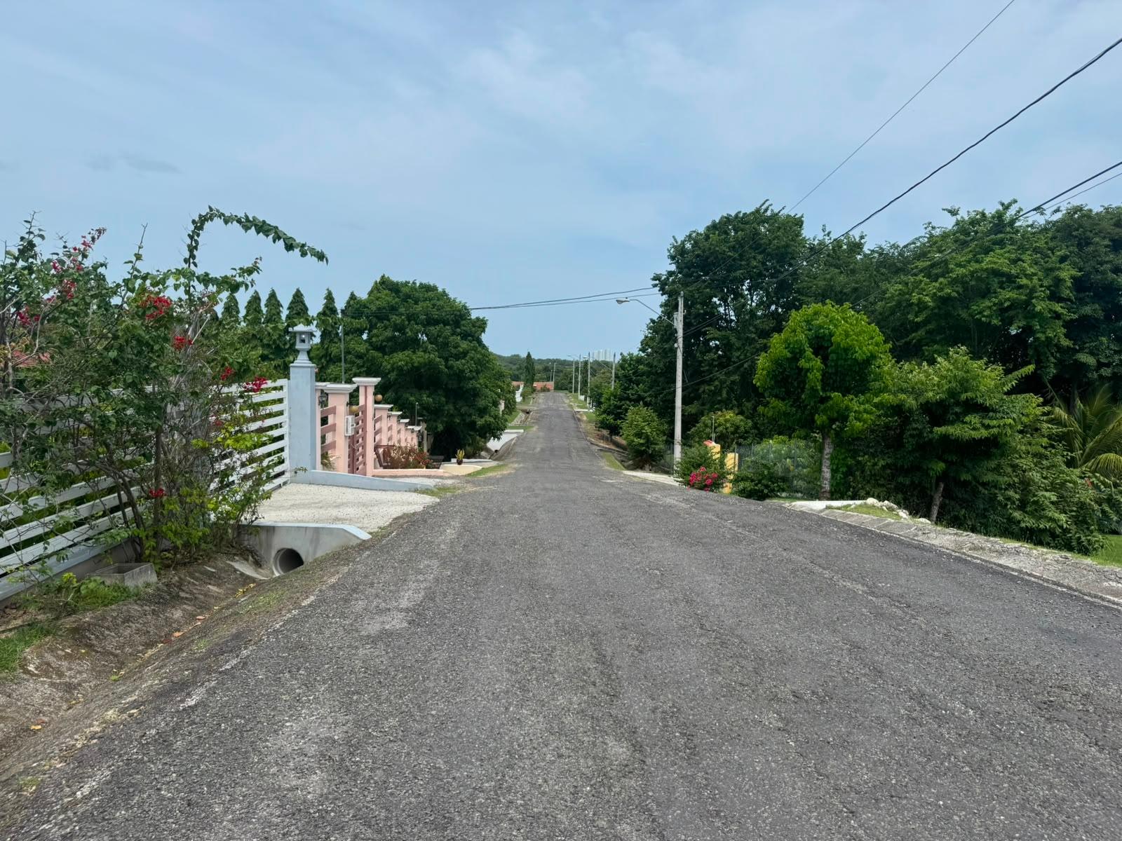 res-00006412-15.jpg