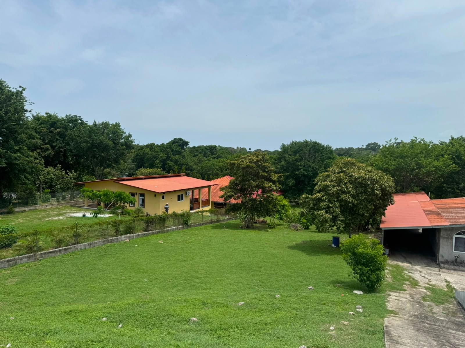 res-00006412-17.jpg