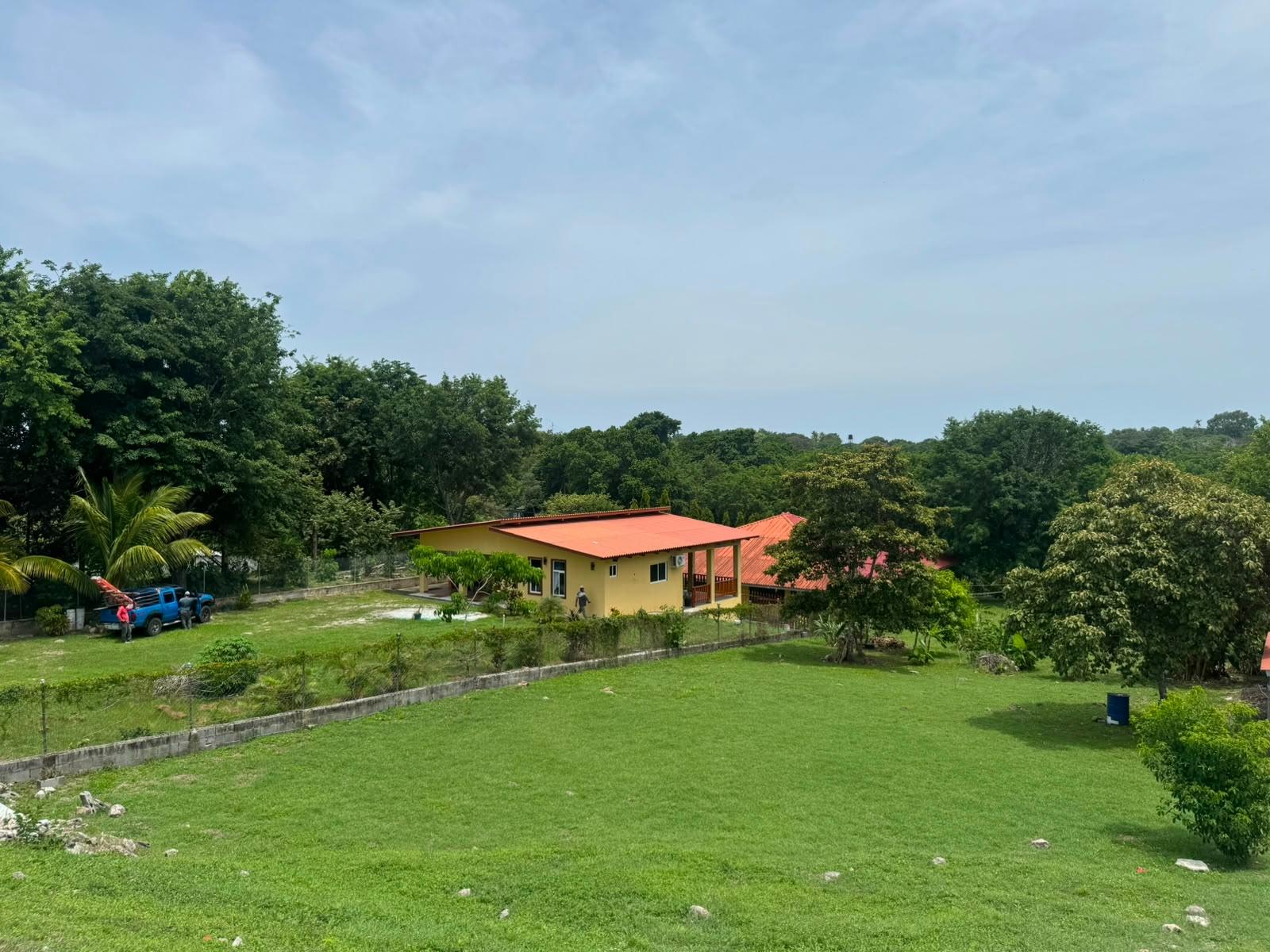 res-00006412-18.jpg