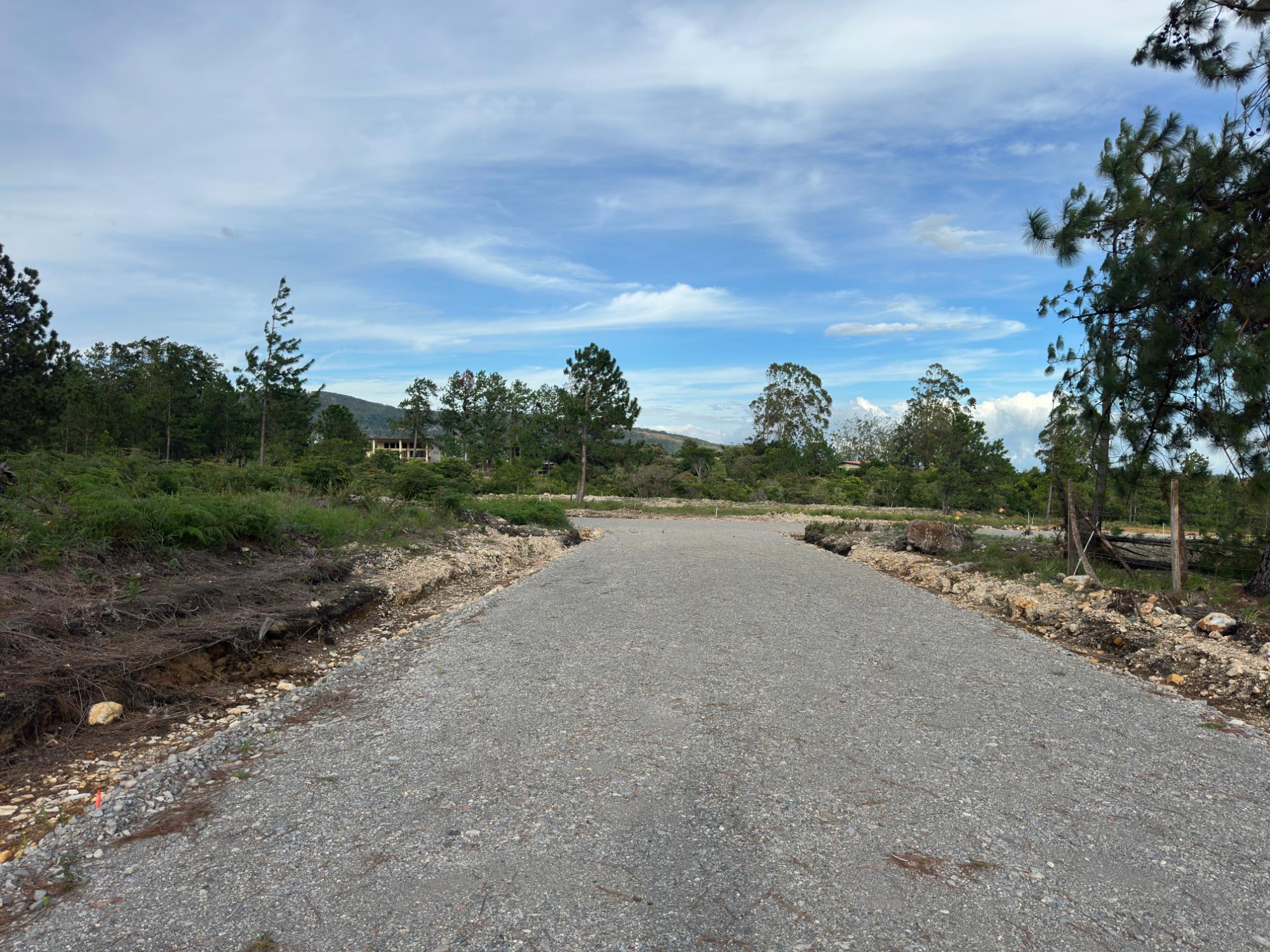res-00006416-13.jpg