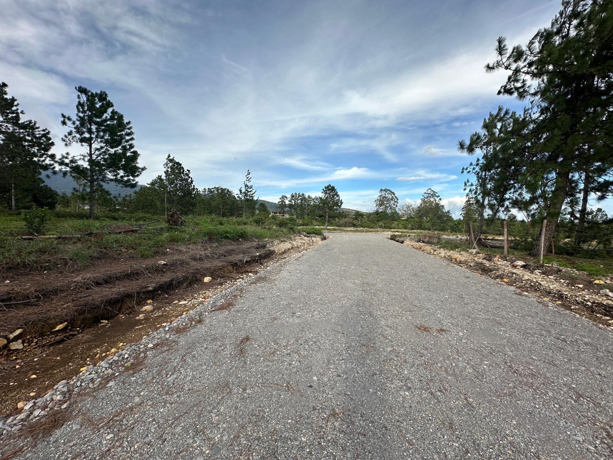res-00006416-14.jpg