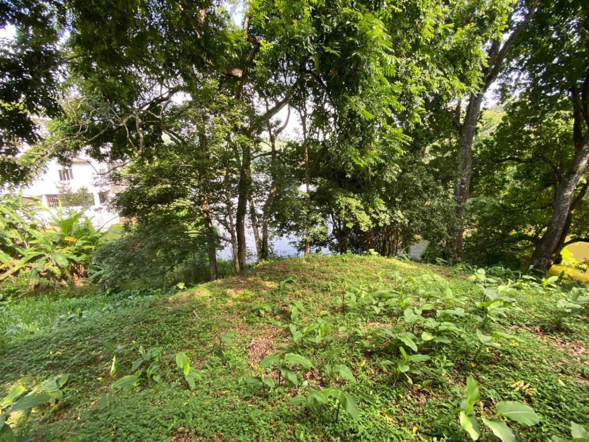 res-0000641a-02.jpg