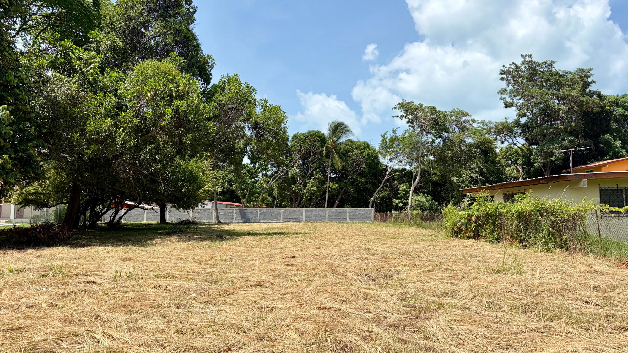 res-00006421-01.jpg