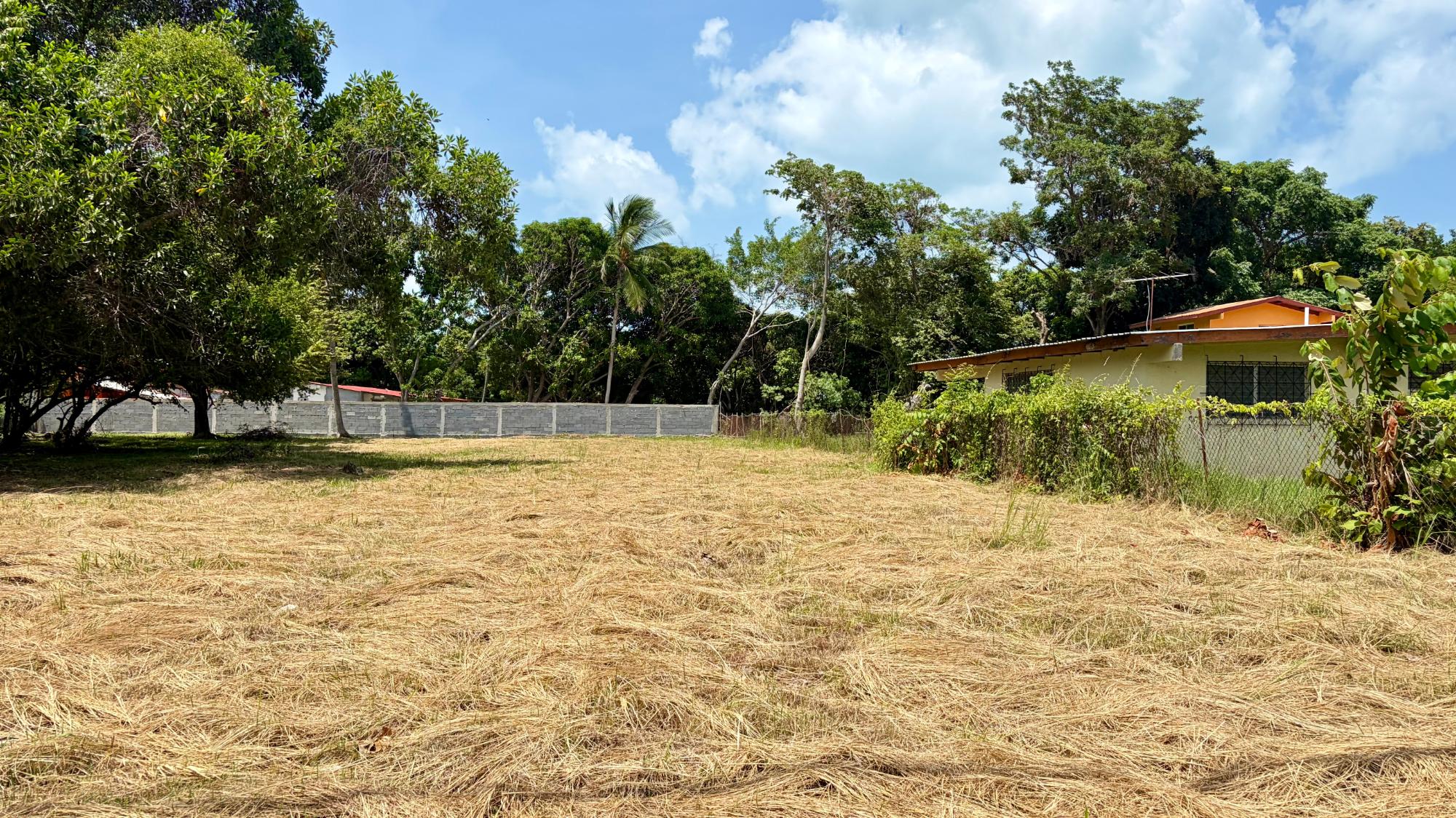 res-00006421-03.jpg