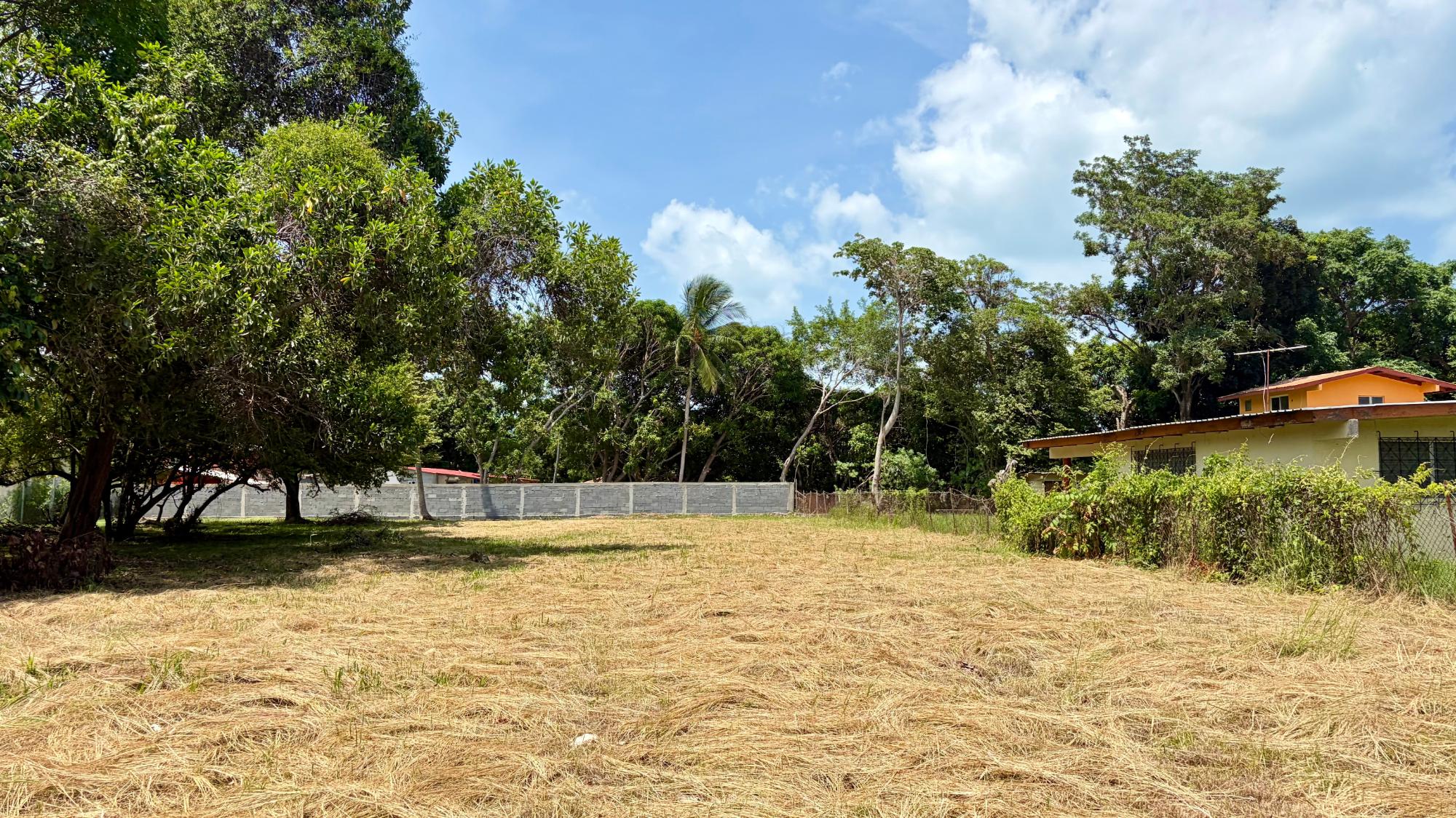 res-00006421-04.jpg