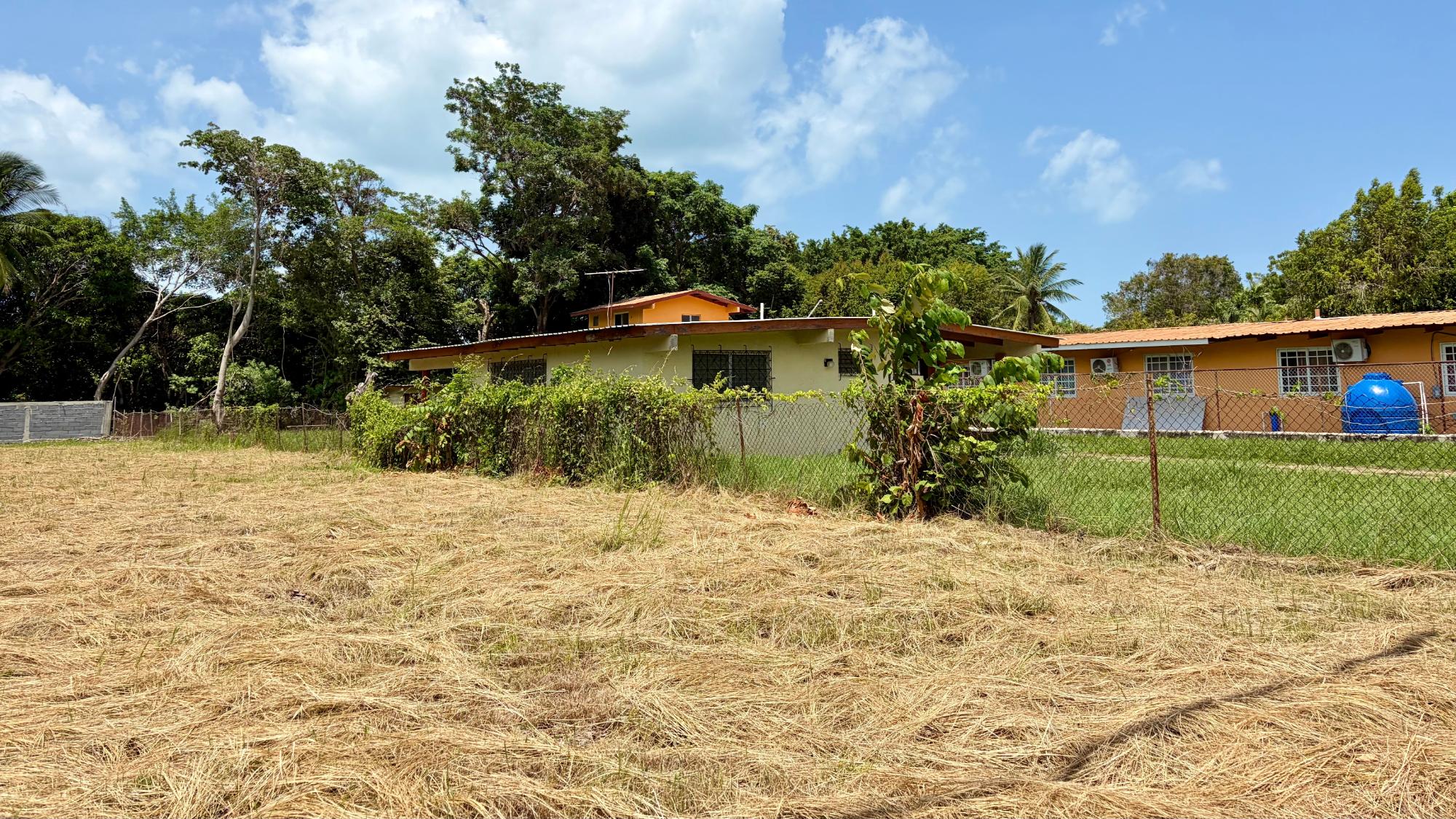 res-00006421-06.jpg