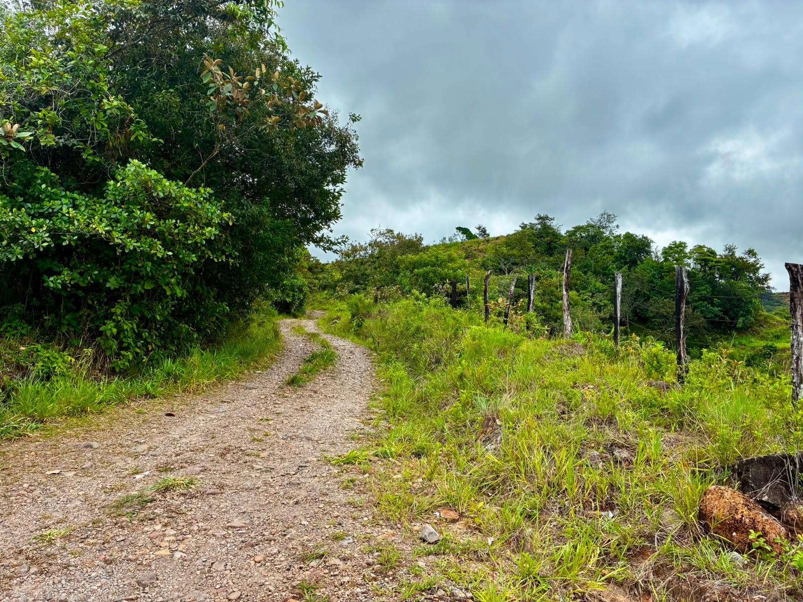 res-00006435-04.jpg