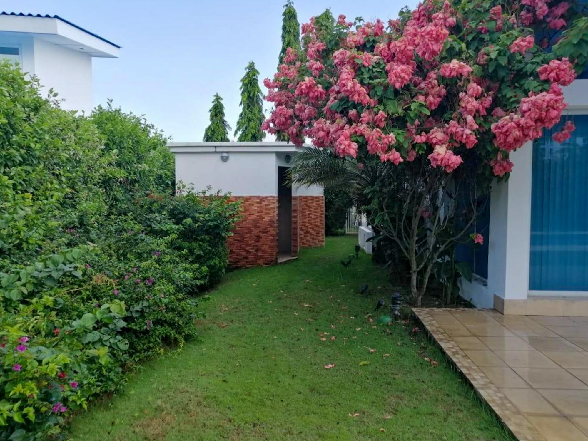res-0000643b-20.jpg