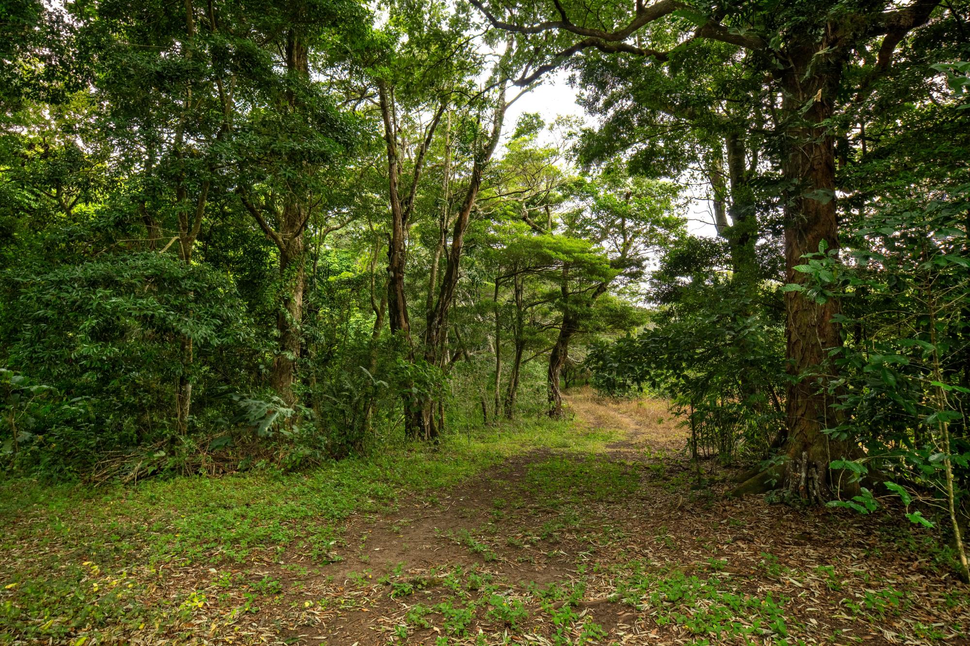 res-00006444-02.jpg
