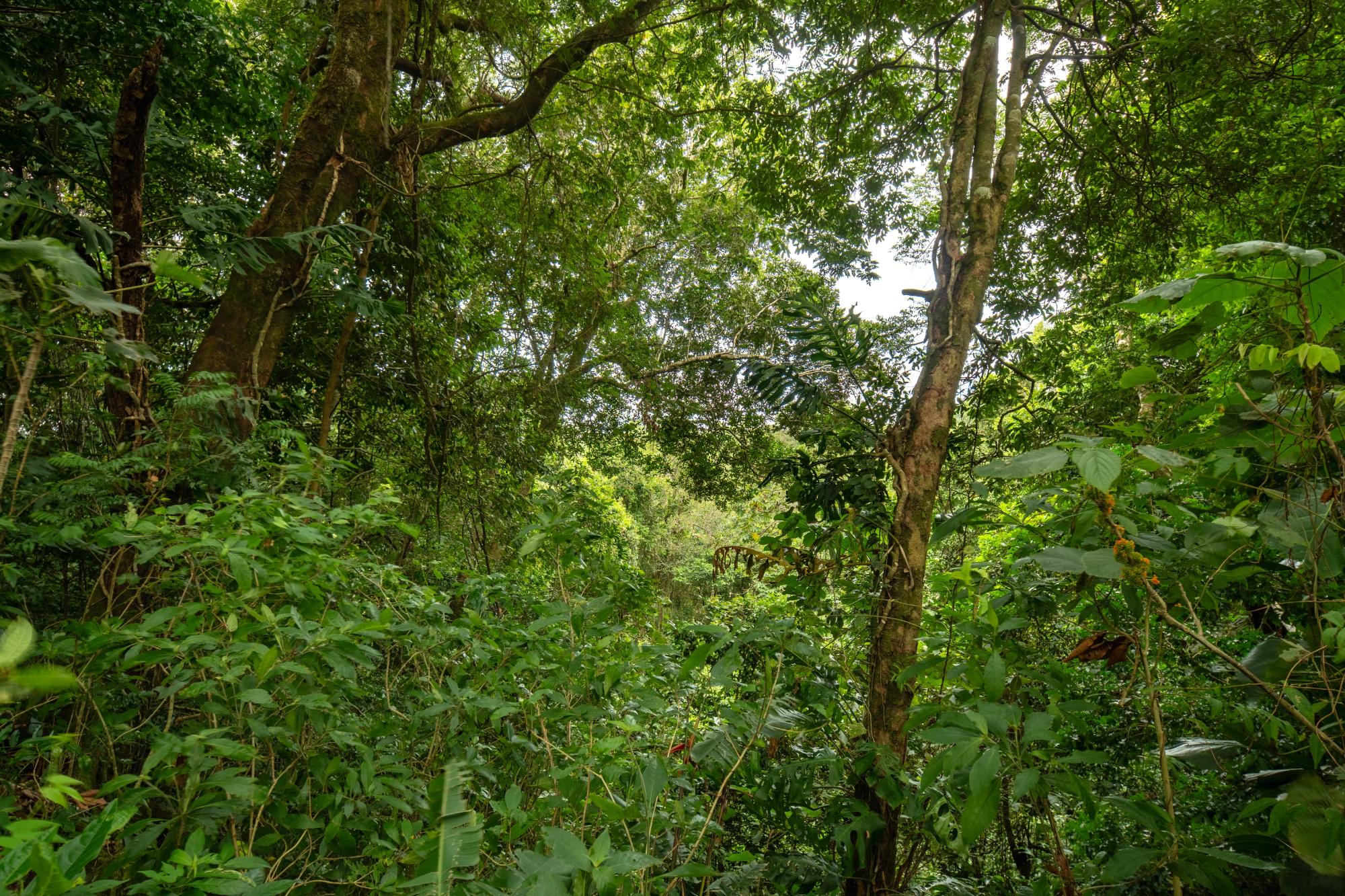 res-00006444-04.jpg