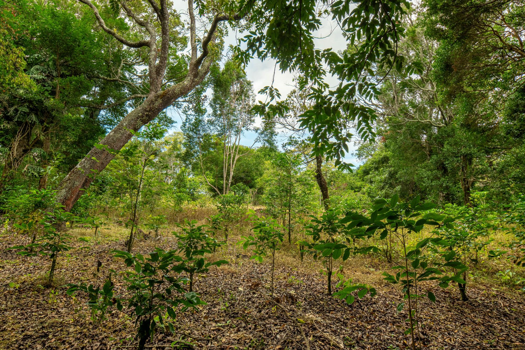 res-00006444-07.jpg