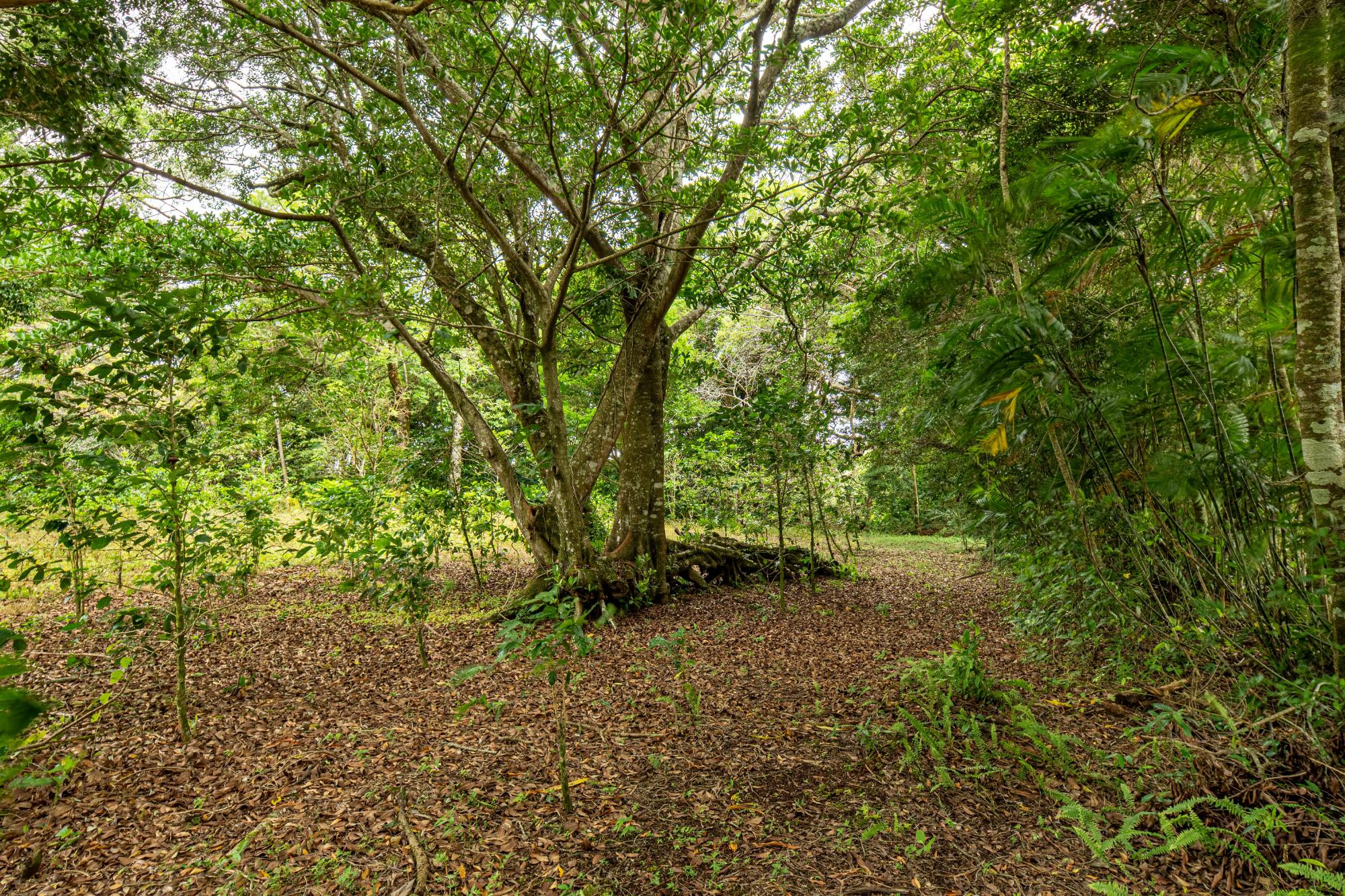 res-00006444-08.jpg
