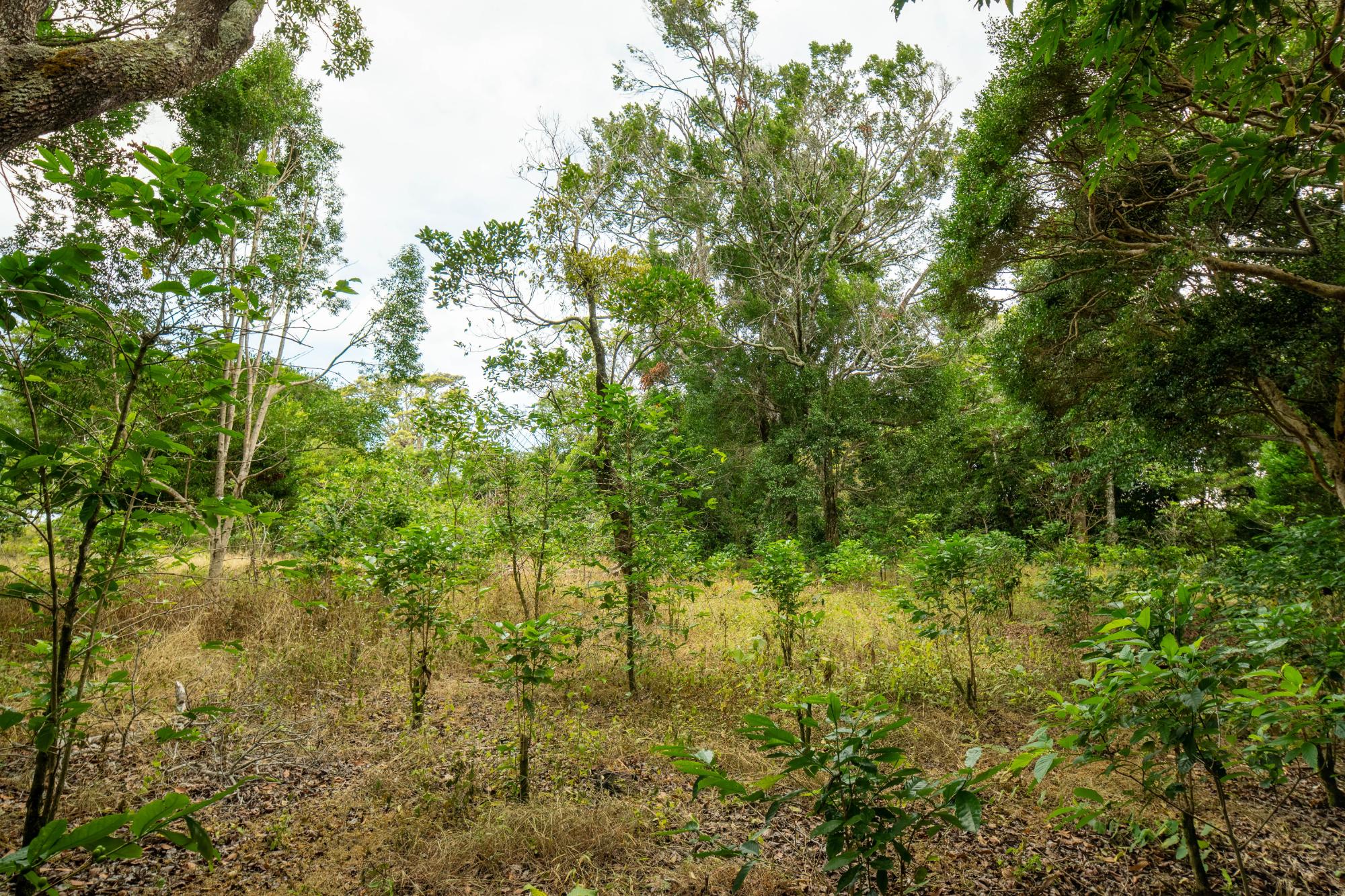 res-00006444-13.jpg