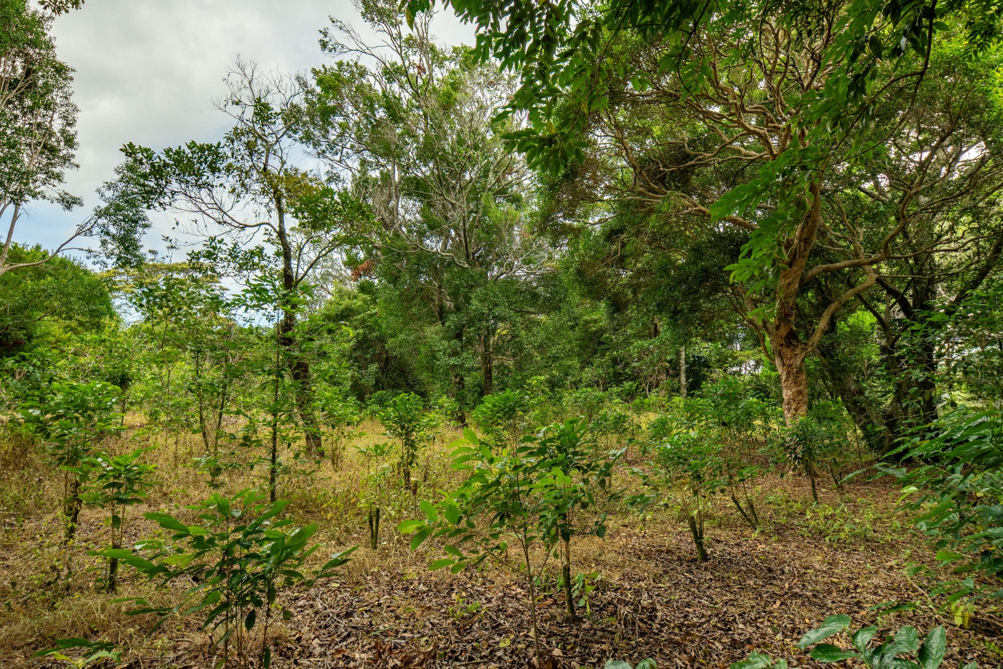 res-00006444-14.jpg