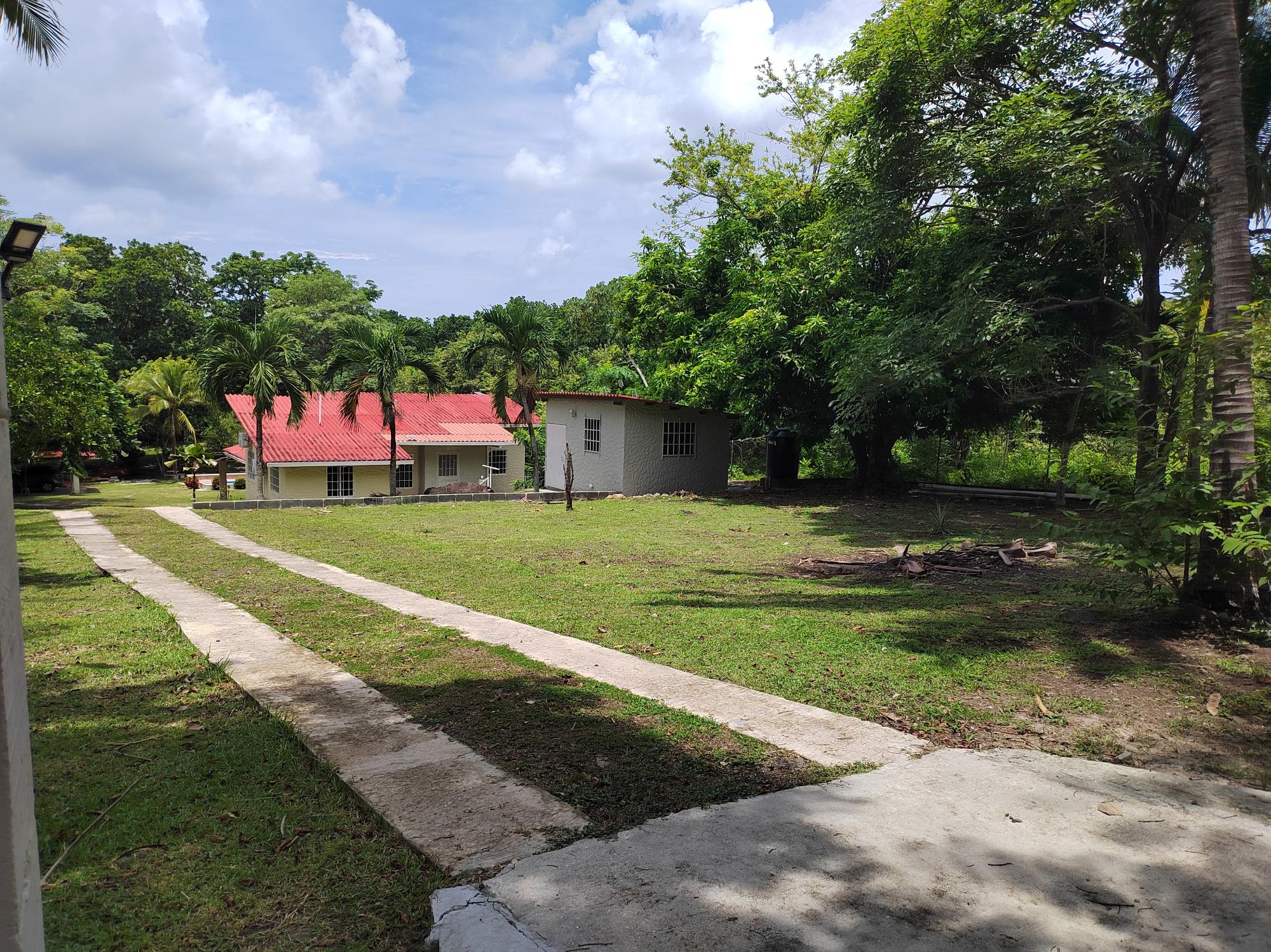 res-00006447-17.jpg