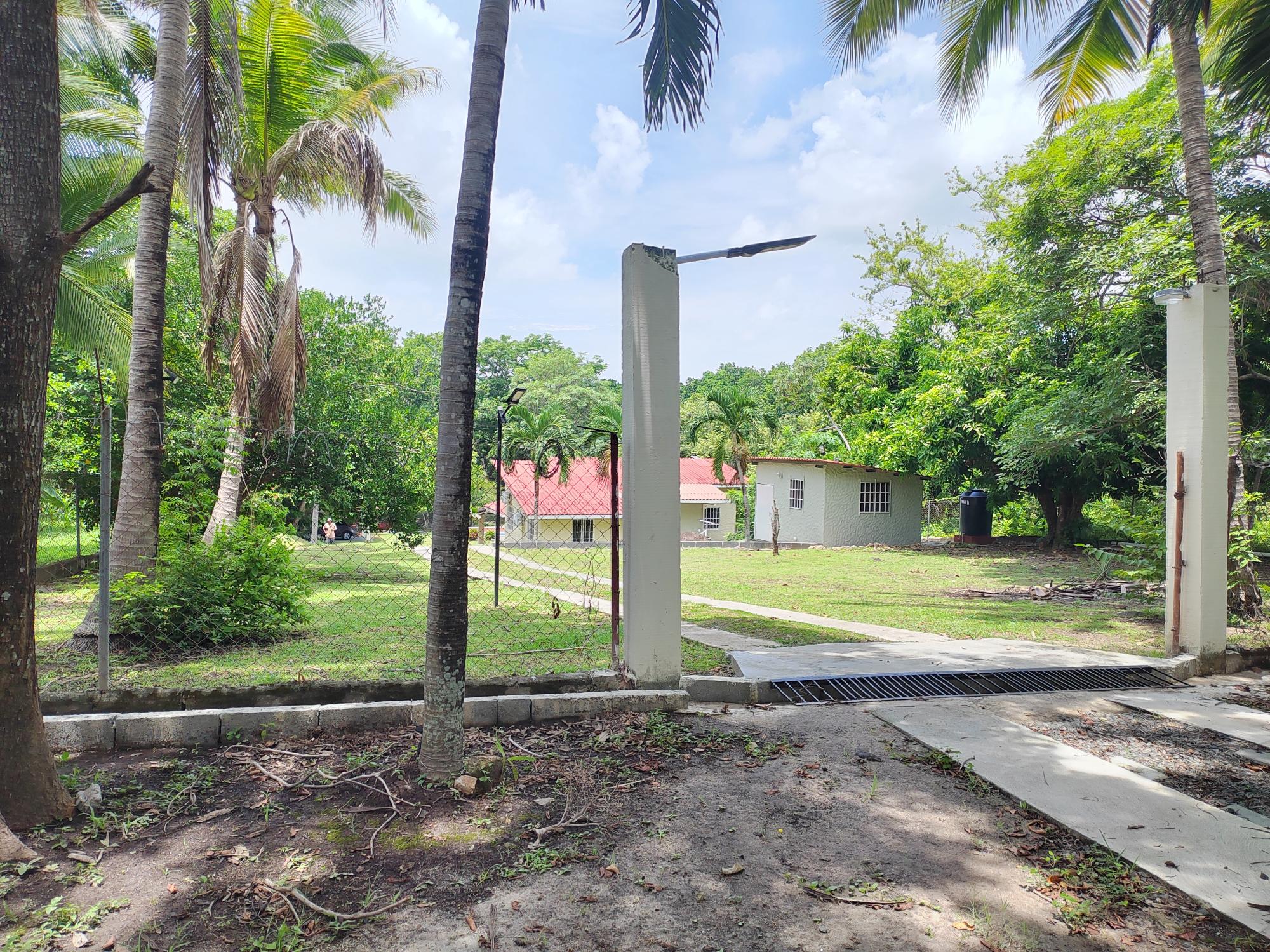 res-00006447-18.jpg
