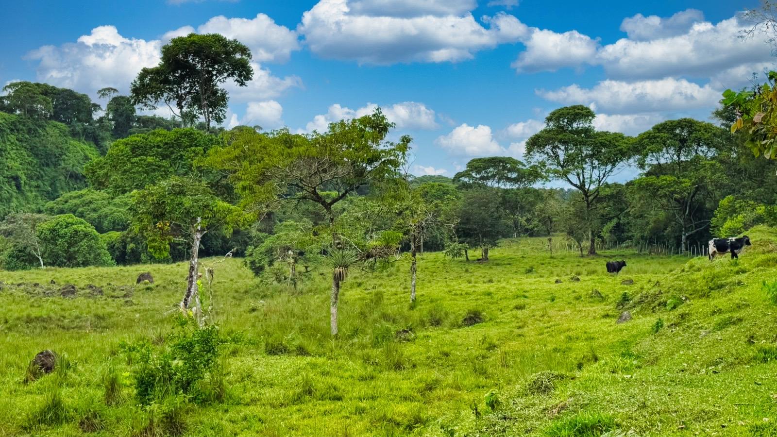 res-0000645e-04.jpg