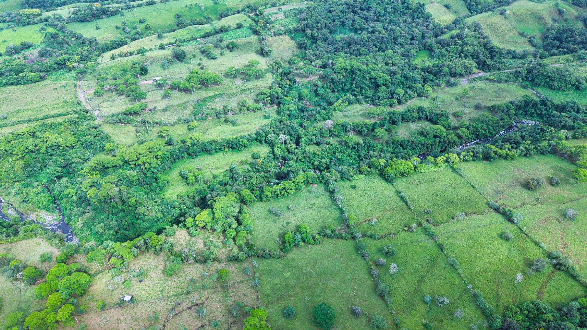 res-0000645e-09.jpg